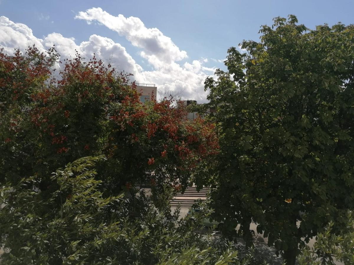 Adriatic Luxury Apartment スプリト エクステリア 写真
